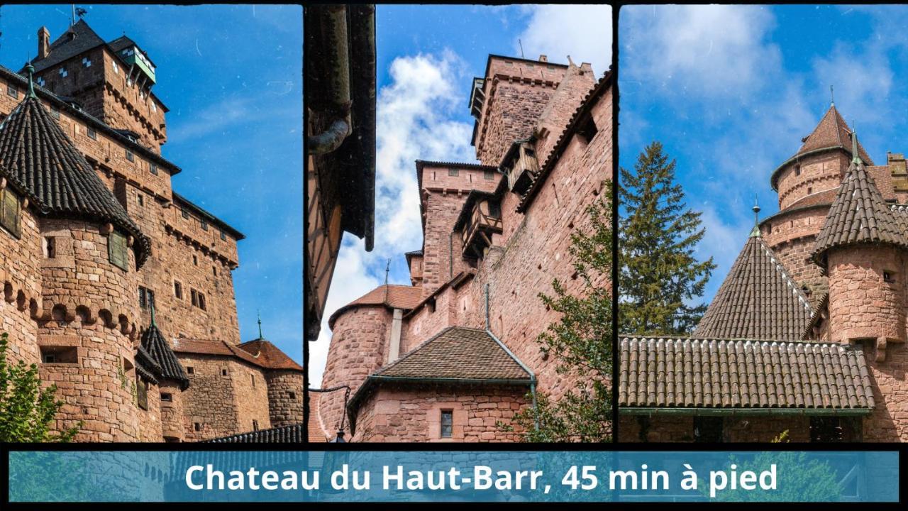 Centre - L'Imperial - Parking Apartment Saverne Luaran gambar